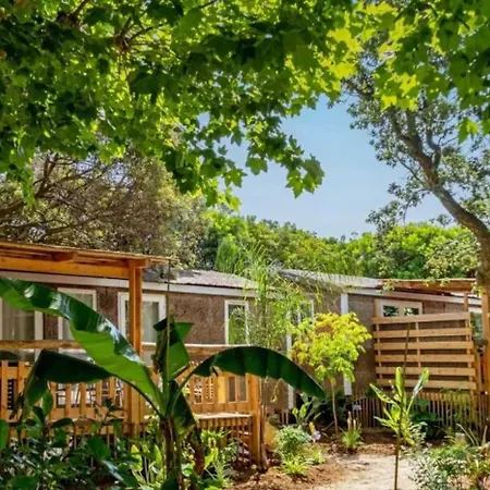 Campsite Chalet 4 Etoiles - Efaabg